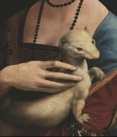 kakimli-kadin - Kopya