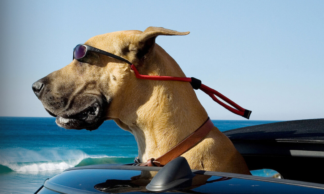 Ekran görüntüsü 2023-07-02 165609