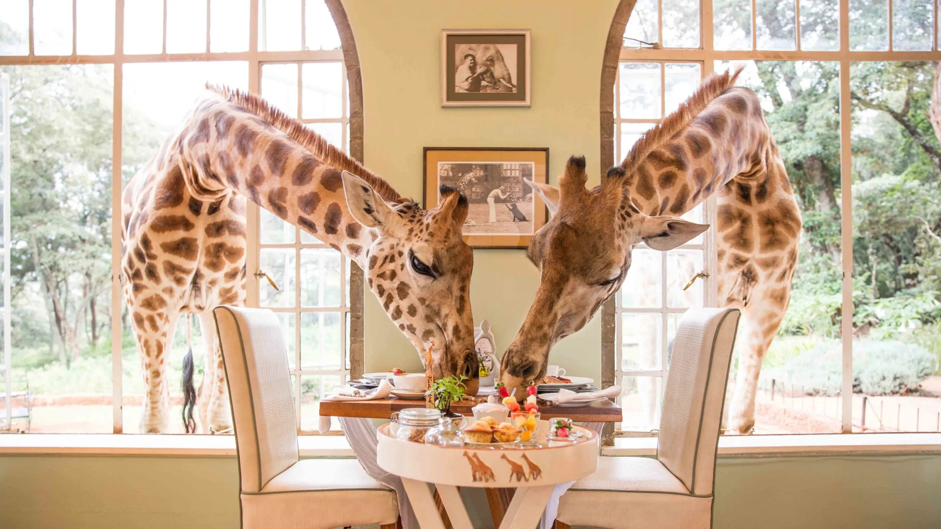 giraffe-manor-kenya