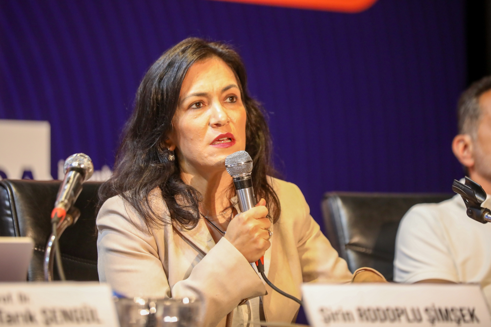 Bursa Mimarlar Odası Başkanı Şirin Rodoplu Şimşek