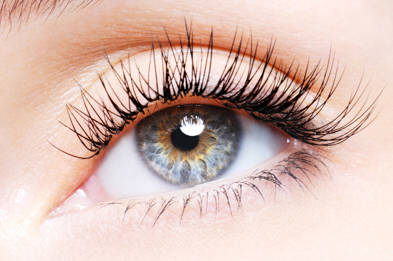 woman-eye-with-curl-false-eyelashes-low-angle-view-1