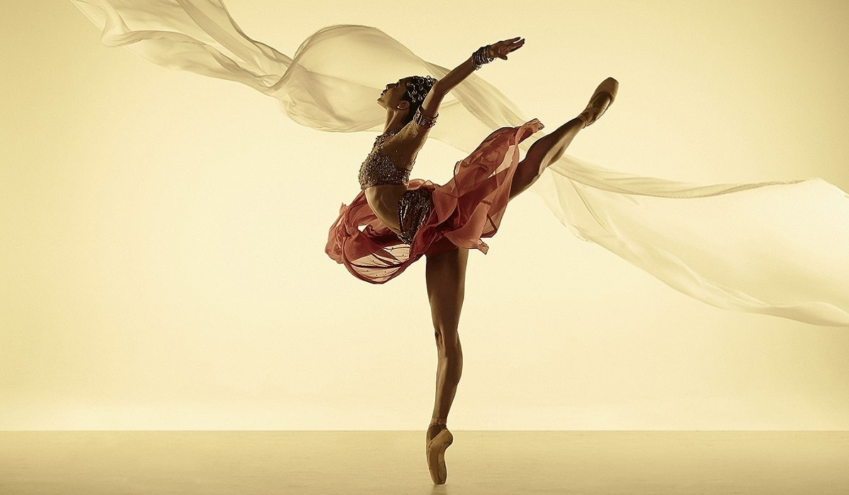 bale-hakkinda-bilgiler