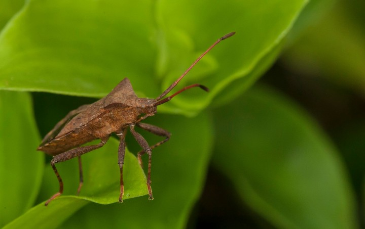 blogs-content-image1610185431