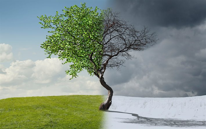 thumb2-seasons-concepts-winter-summer-green-tree-fallen-tree