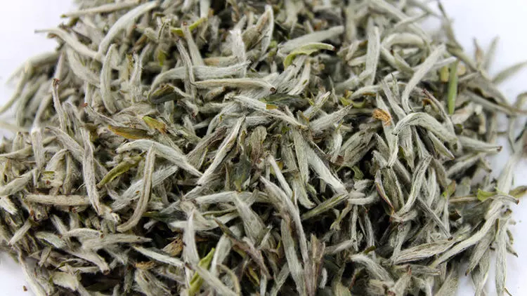 5baa508b2269a20790917b37