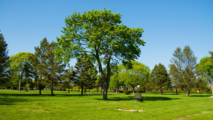 28_yesil-alanlar_539abce98c02c