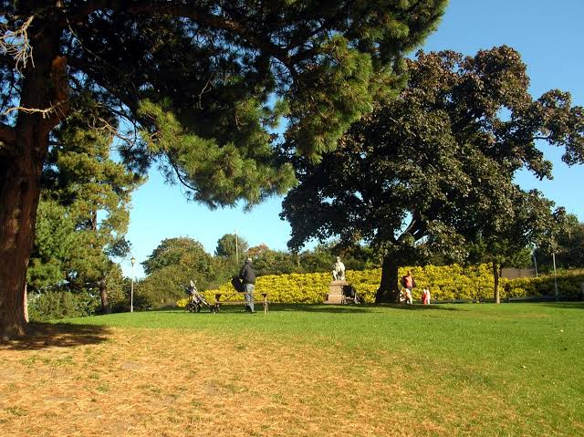 Yesil_odak_sehirlerin_yesil_alan_oranları_1