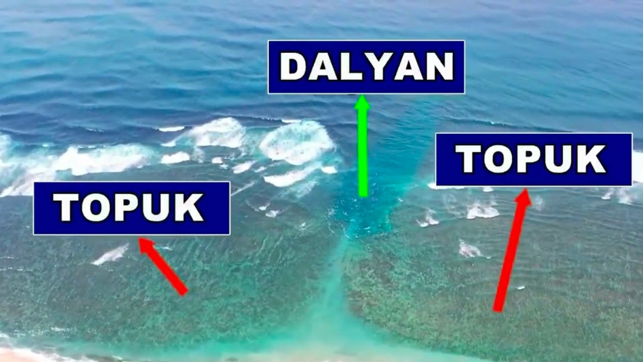 10-yilda-304-kisiyi-olduren-karadenizdeki-rip-akintilari-bu-kadar-tehlikeli-yapan-sey-ne-cZ5WSZIO