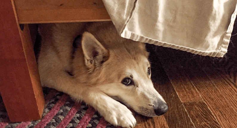 c8bf0efd3e0f6a2f25e84f779ff2b4542760a72c