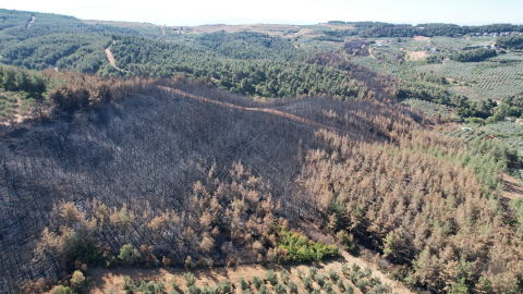 Yangının bilançosu dron ile çıkarılıyor