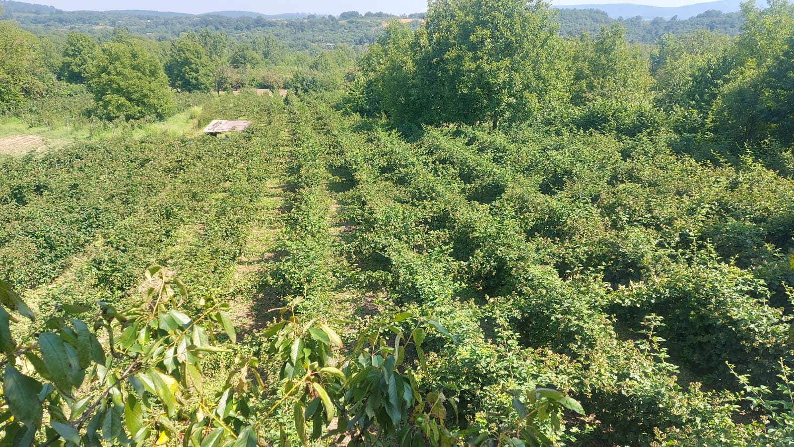 WhatsApp Image 2023-09-13 at 13.25.35