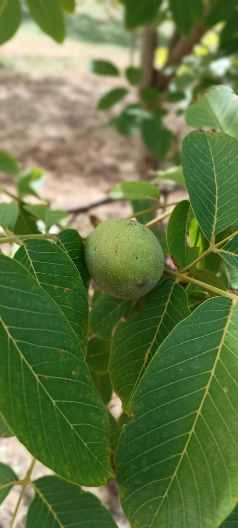 WhatsApp Image 2023-09-23 at 10.47.36 (1)