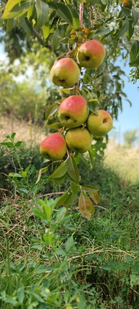 WhatsApp Image 2023-09-23 at 10.47.36