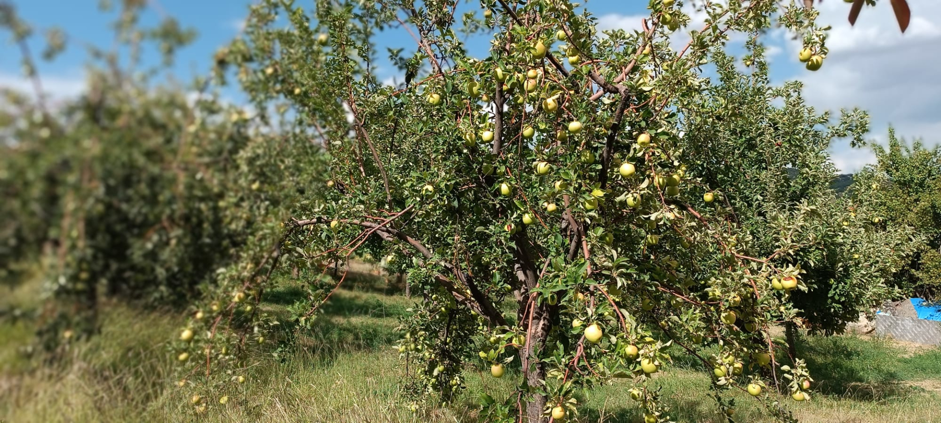 WhatsApp Image 2023-09-23 at 10.47.38