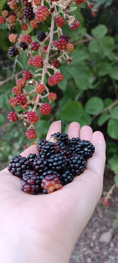 WhatsApp Image 2023-09-23 at 10.47.39