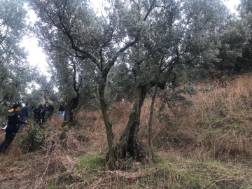 Nevrigül’ün ölümündeki sır perdesi aralandı