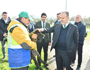 Çare Büyükşehir'de