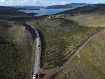 Hububat ekili kıraç arazisini badem bahçesine çevirdi, gelirini artırdı